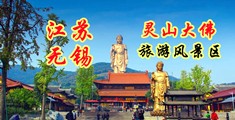 精品自拍视频二七八区江苏无锡灵山大佛旅游风景区