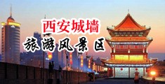 啊啊操死你个小骚货视频中国陕西-西安城墙旅游风景区